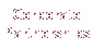 Corporate Partnerships